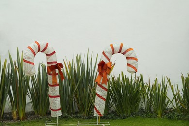 Photo of Beautiful colorful candy canes on green grass outdoors. Christmas street decorations