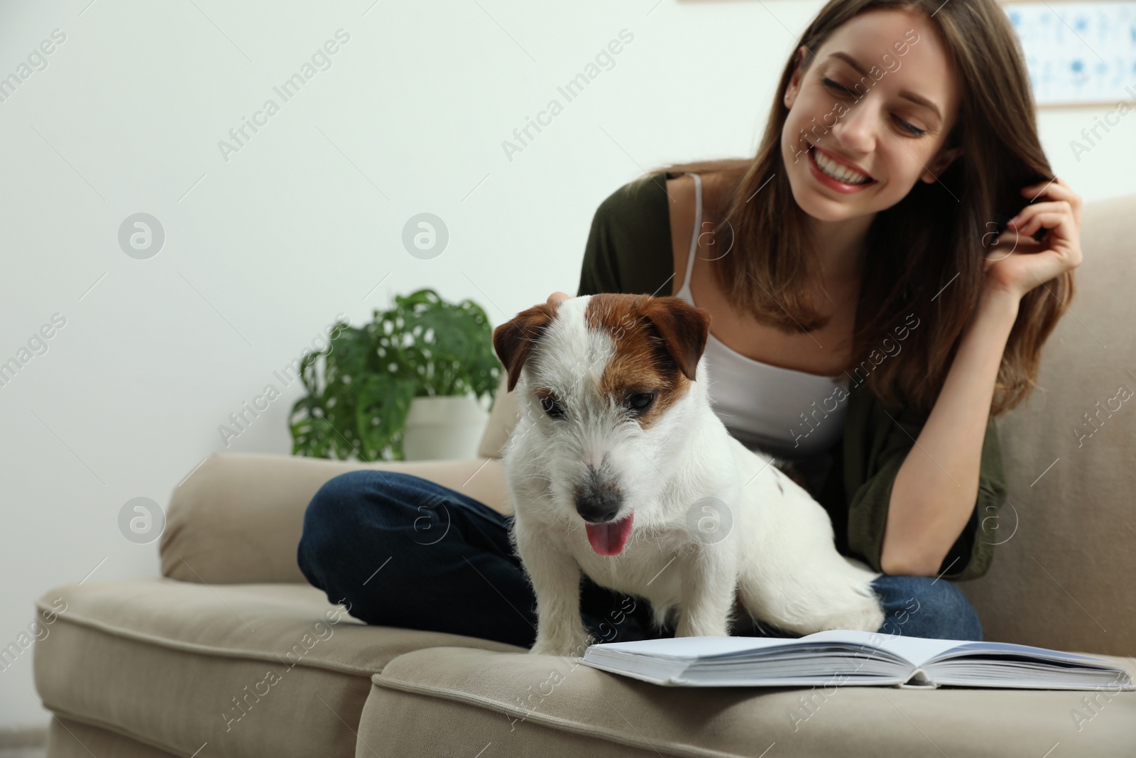 Photo of Young woman with her cute Jack Russell Terrier on sofa at home. Lovely pet