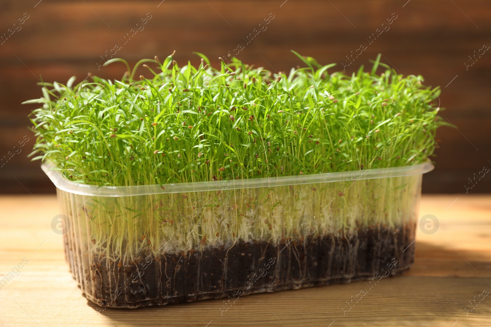 Photo of Fresh organic microgreen in plastic container on wooden table