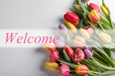 Welcome card. Beautiful tulip flowers and word on white background, top view