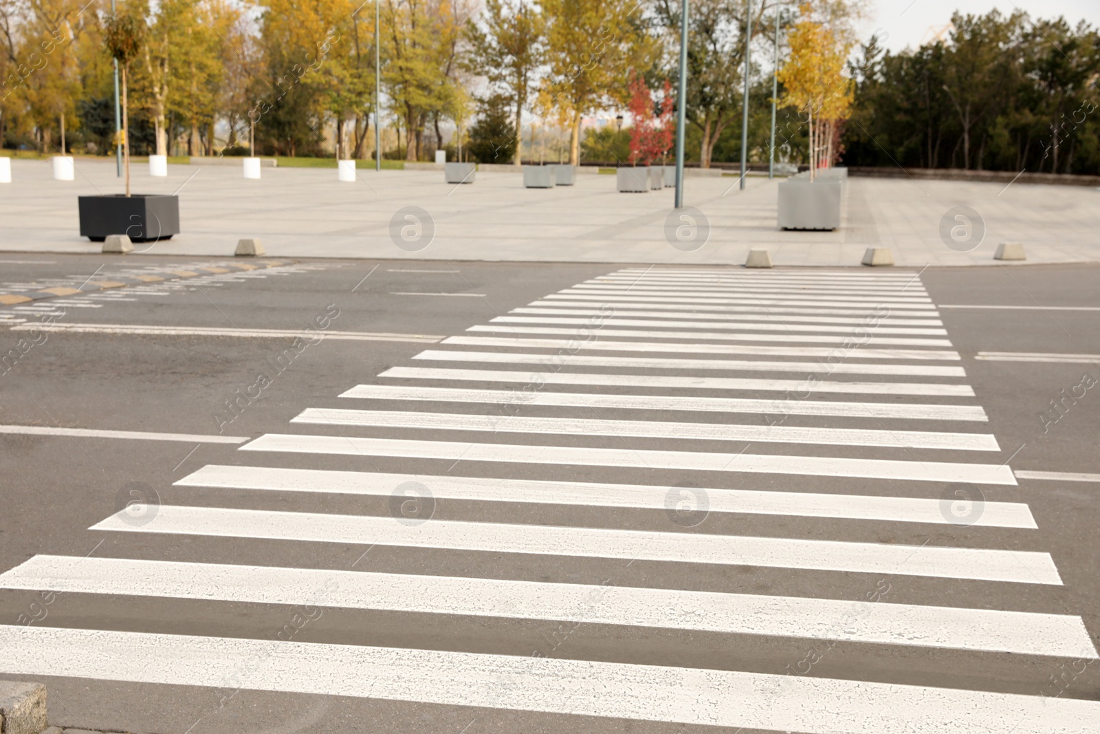 Photo of White pedestrian crossing on empty city street