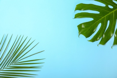 Photo of Tropical leaves on color background, top view