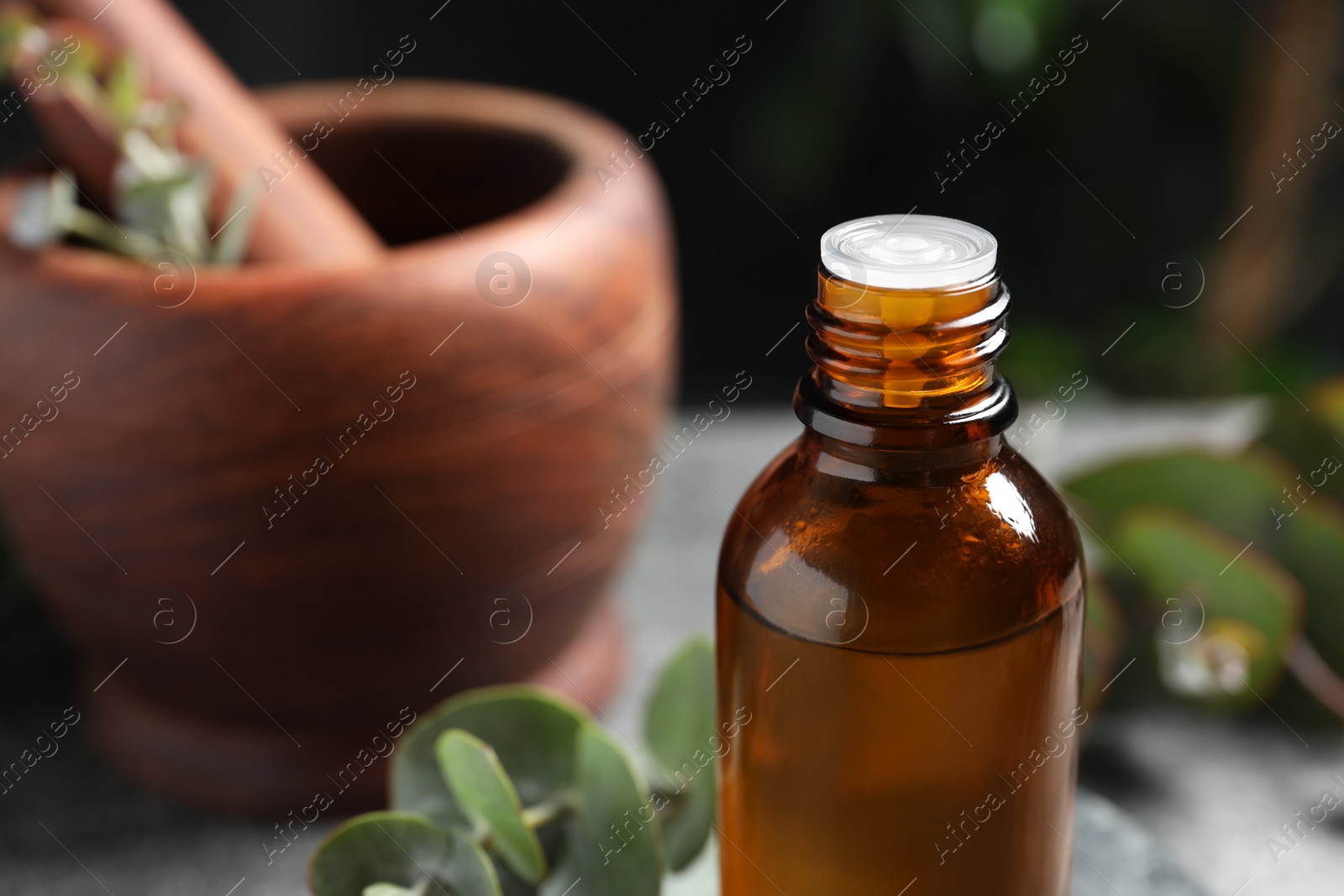 Photo of Bottle of eucalyptus essential oil and plant branches against blurred background, closeup. Space for text