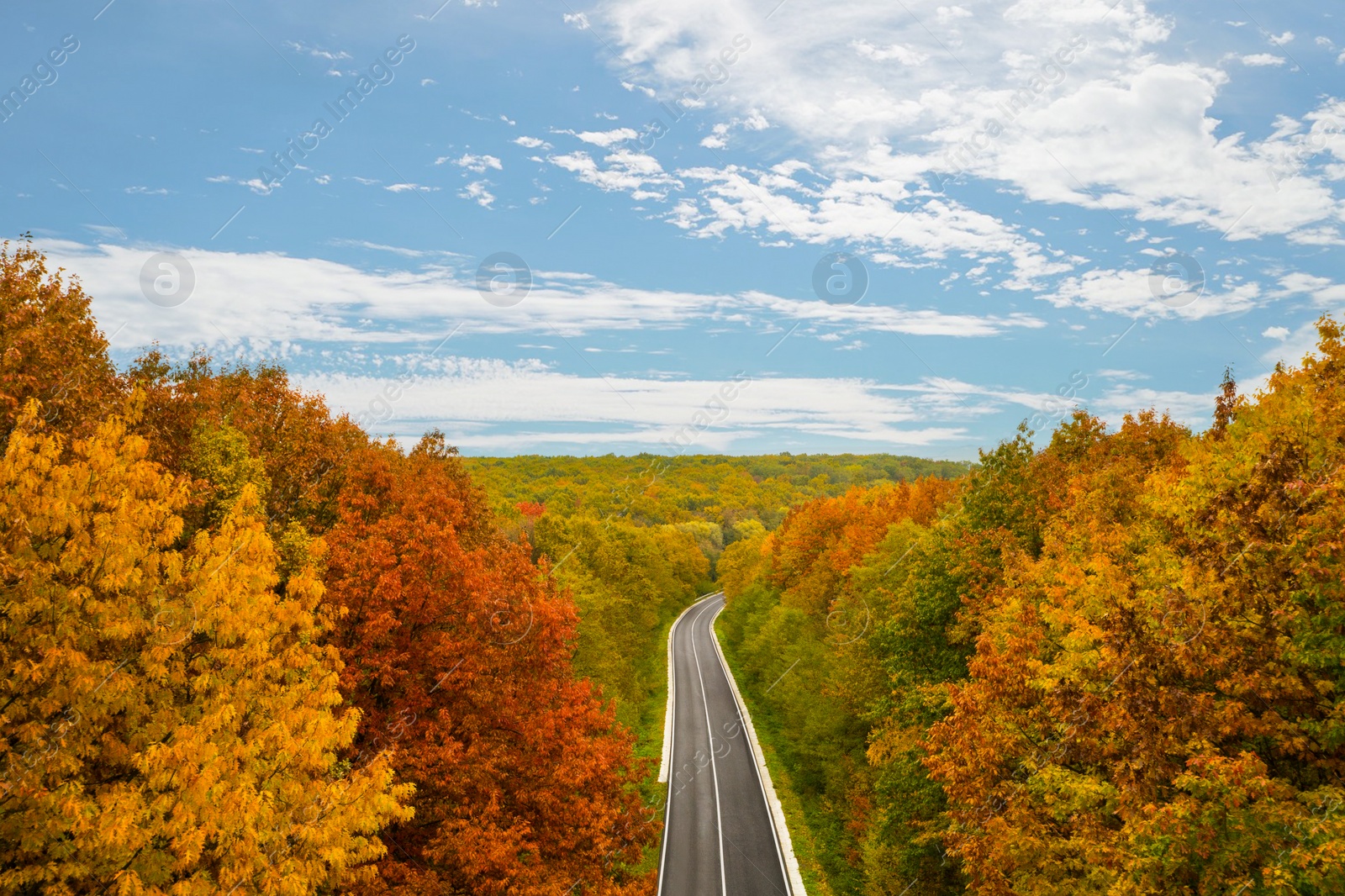 Image of Aerial view of road going through beautiful autumn forest