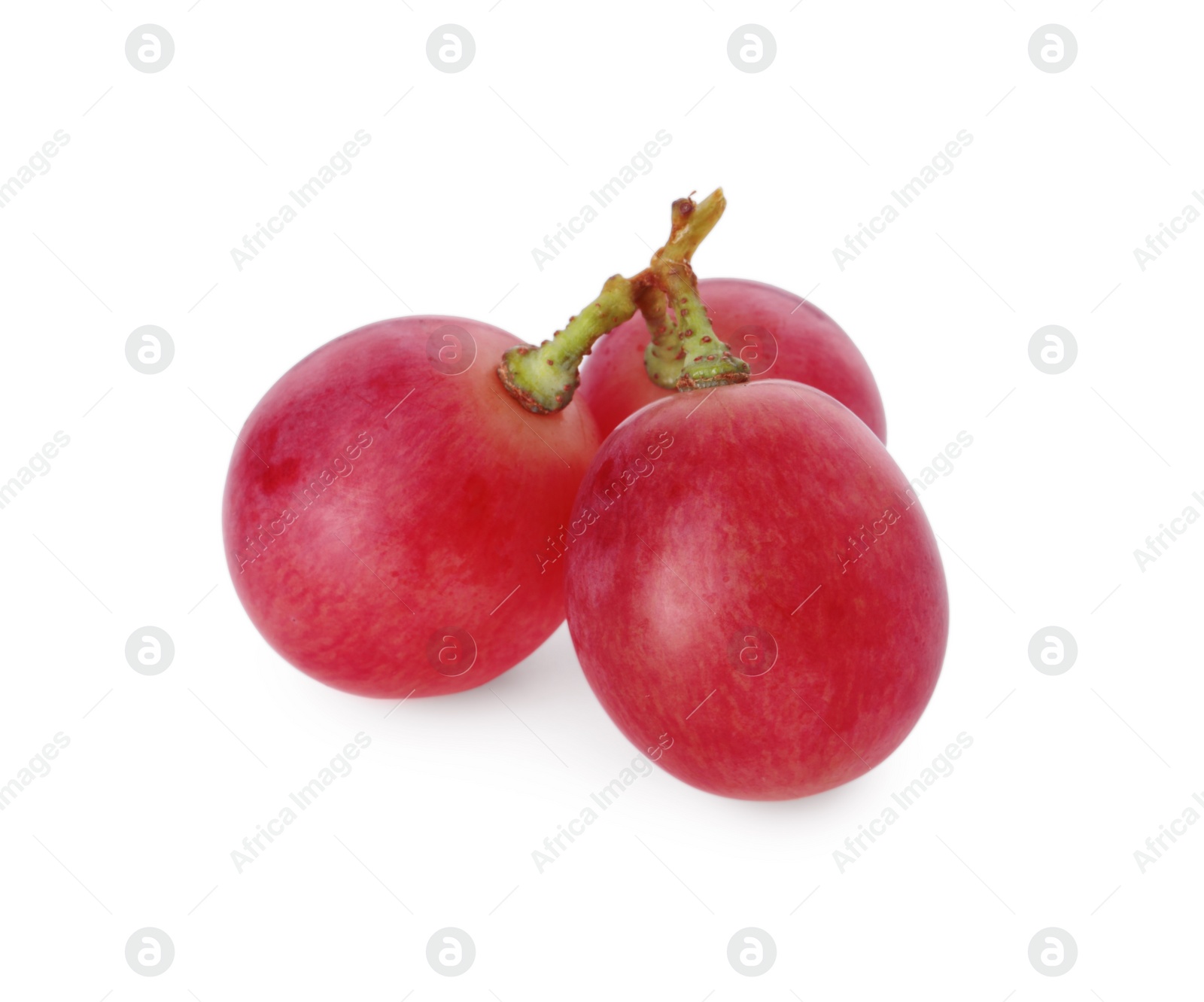 Photo of Tasty ripe red grapes isolated on white