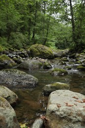 Photo of Picturesque view of mountain river, stones and green plants in forest