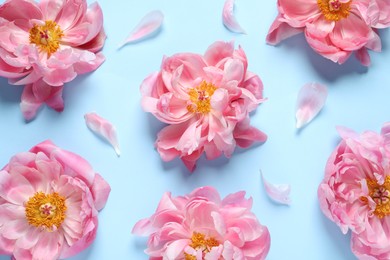 Flat lay composition with beautiful pink peonies on light turquoise background