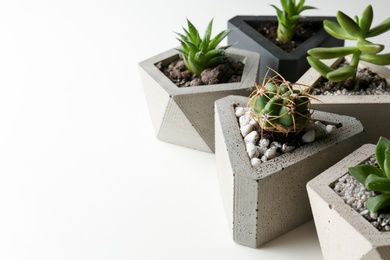 Succulent plants in concrete pots on white table, closeup