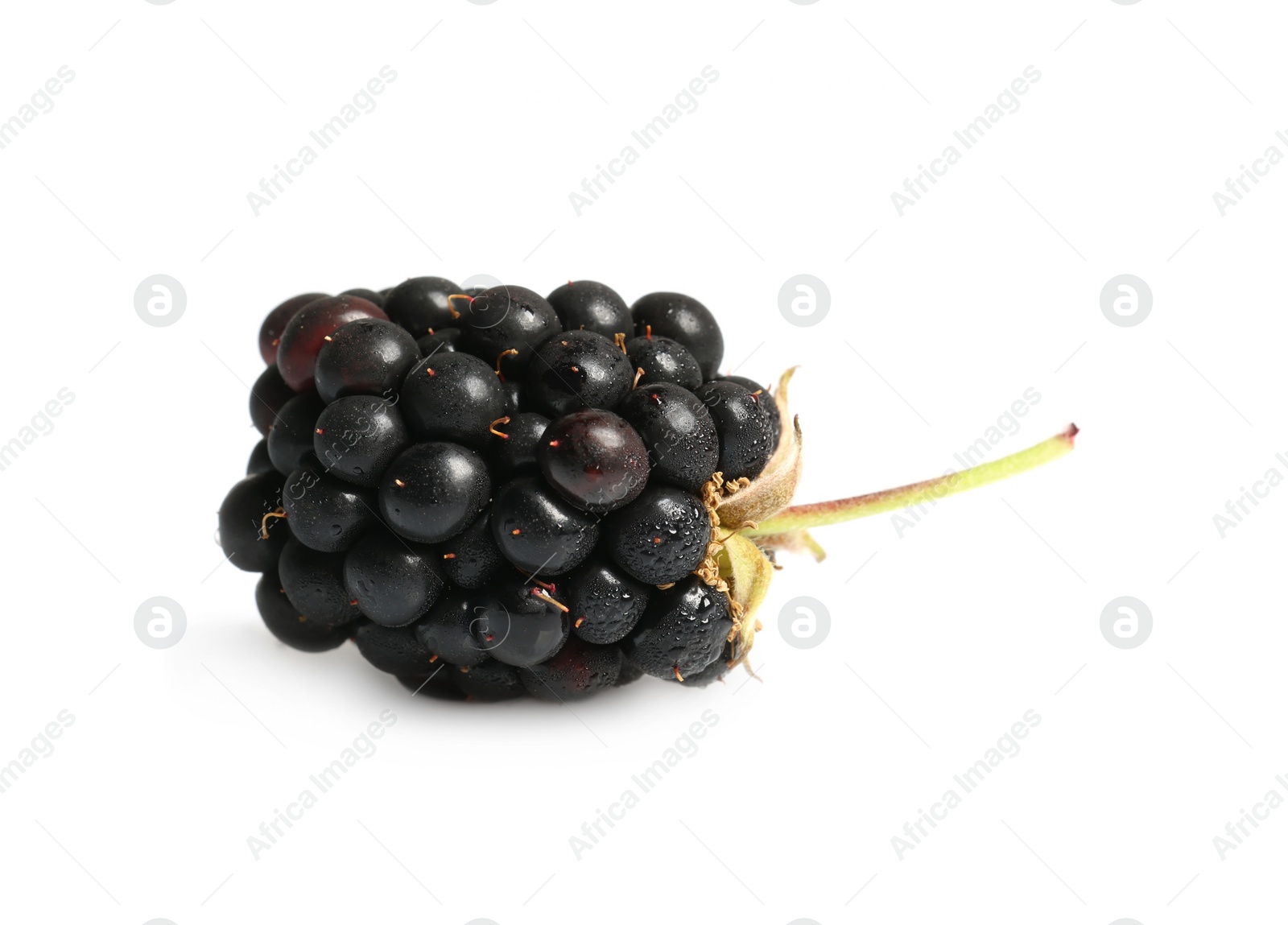 Photo of One tasty ripe blackberry isolated on white