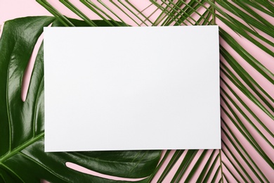 Photo of Flat lay composition with tropical leaves on color background