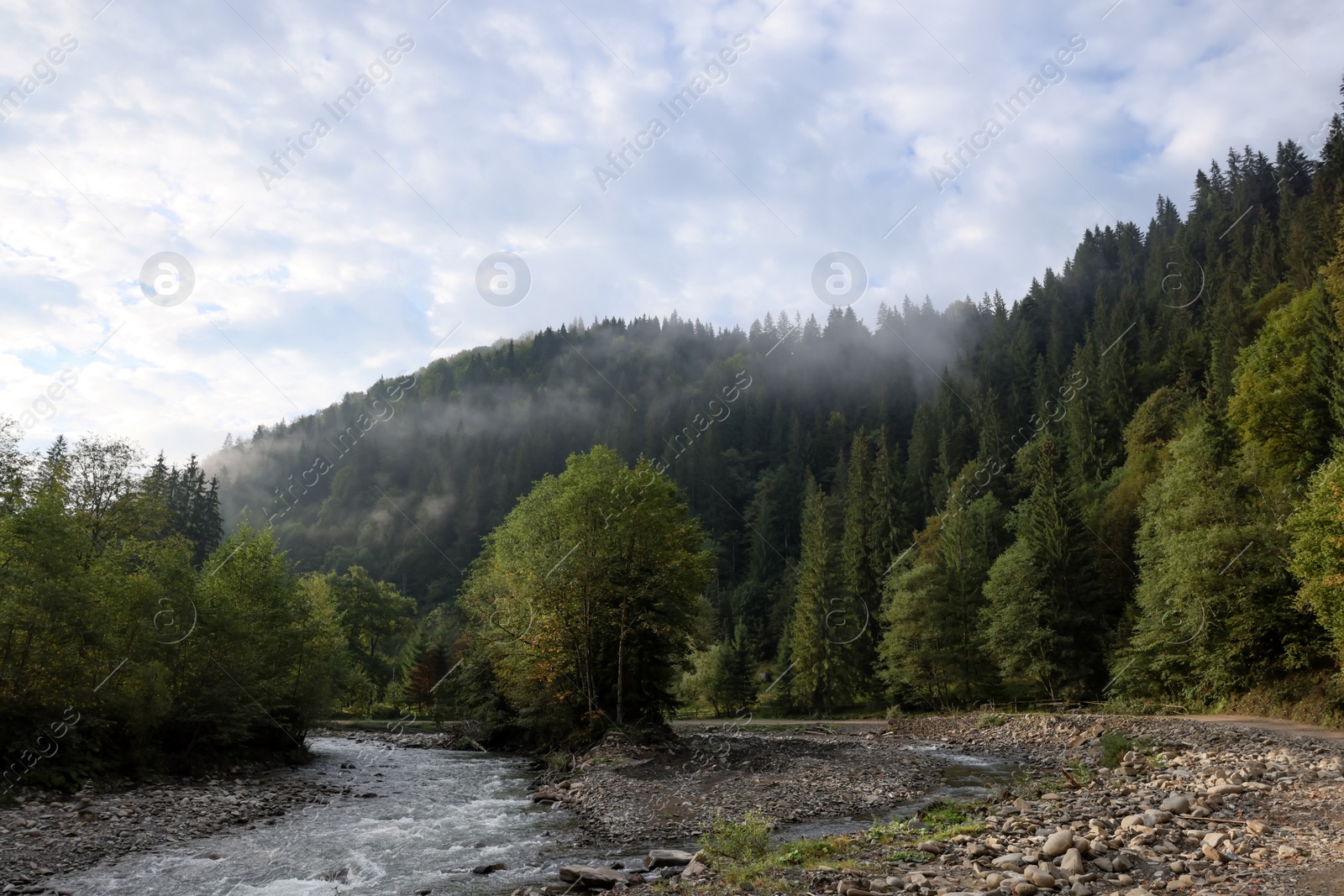 Photo of Picturesque view of beautiful river flowing near forest in morning