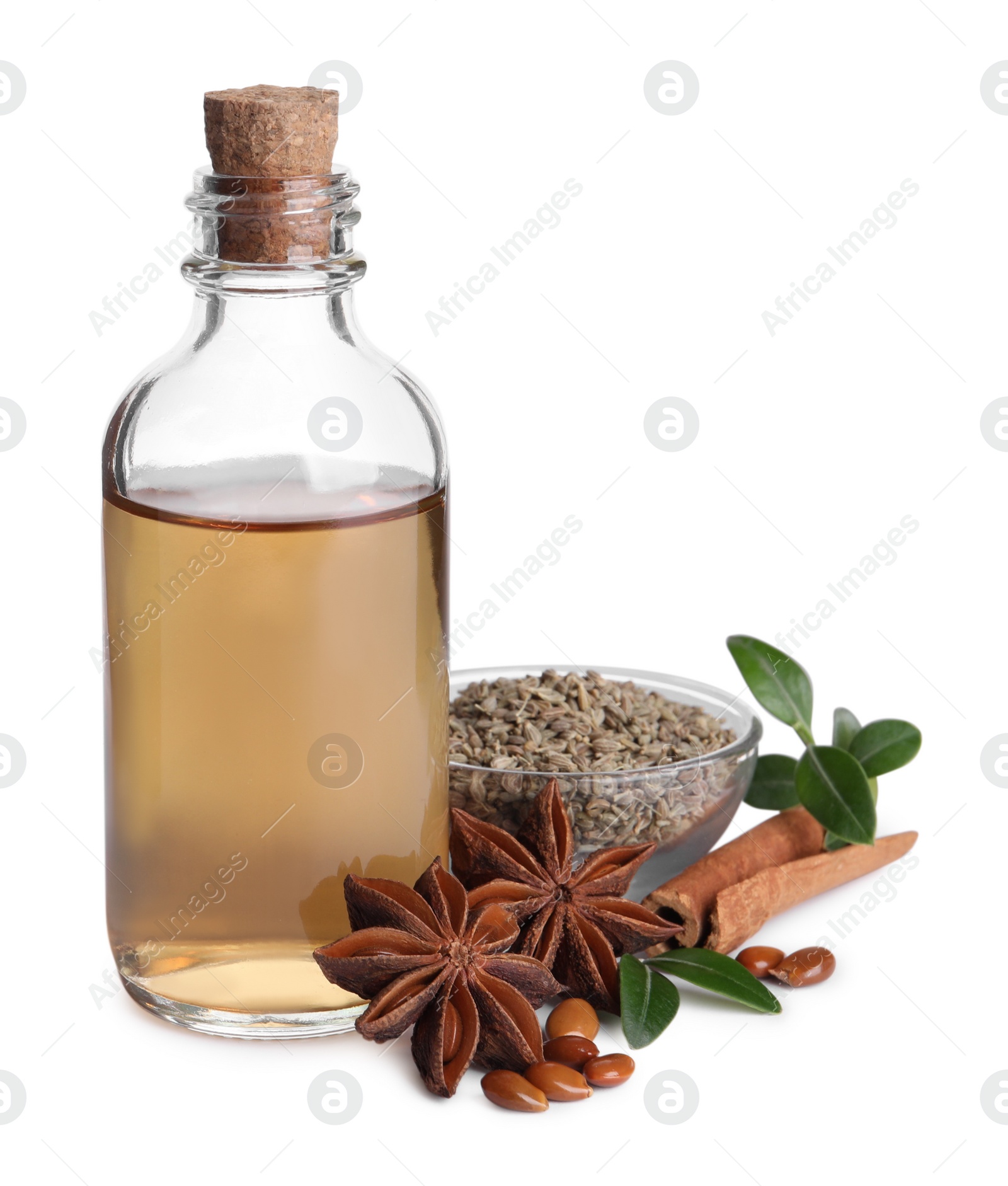 Photo of Anise essential oil and spices on white background