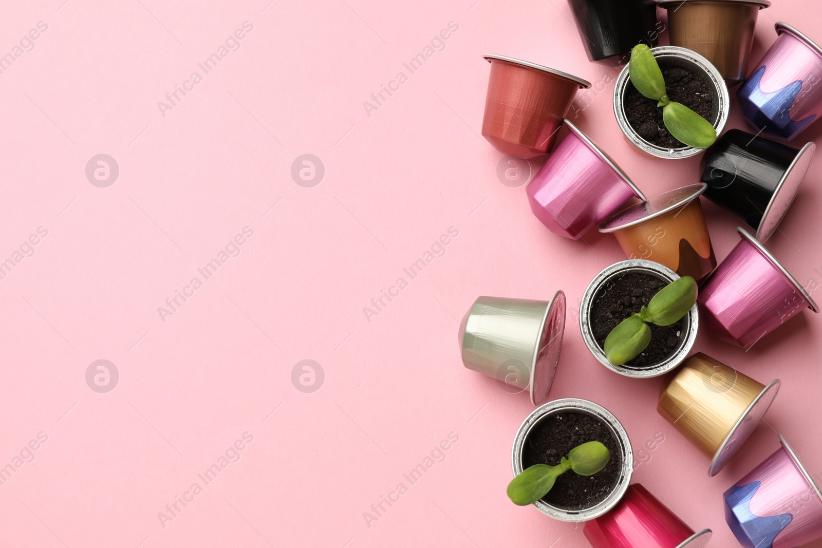 Photo of Coffee capsules and seedlings on pink background, flat lay. Space for text