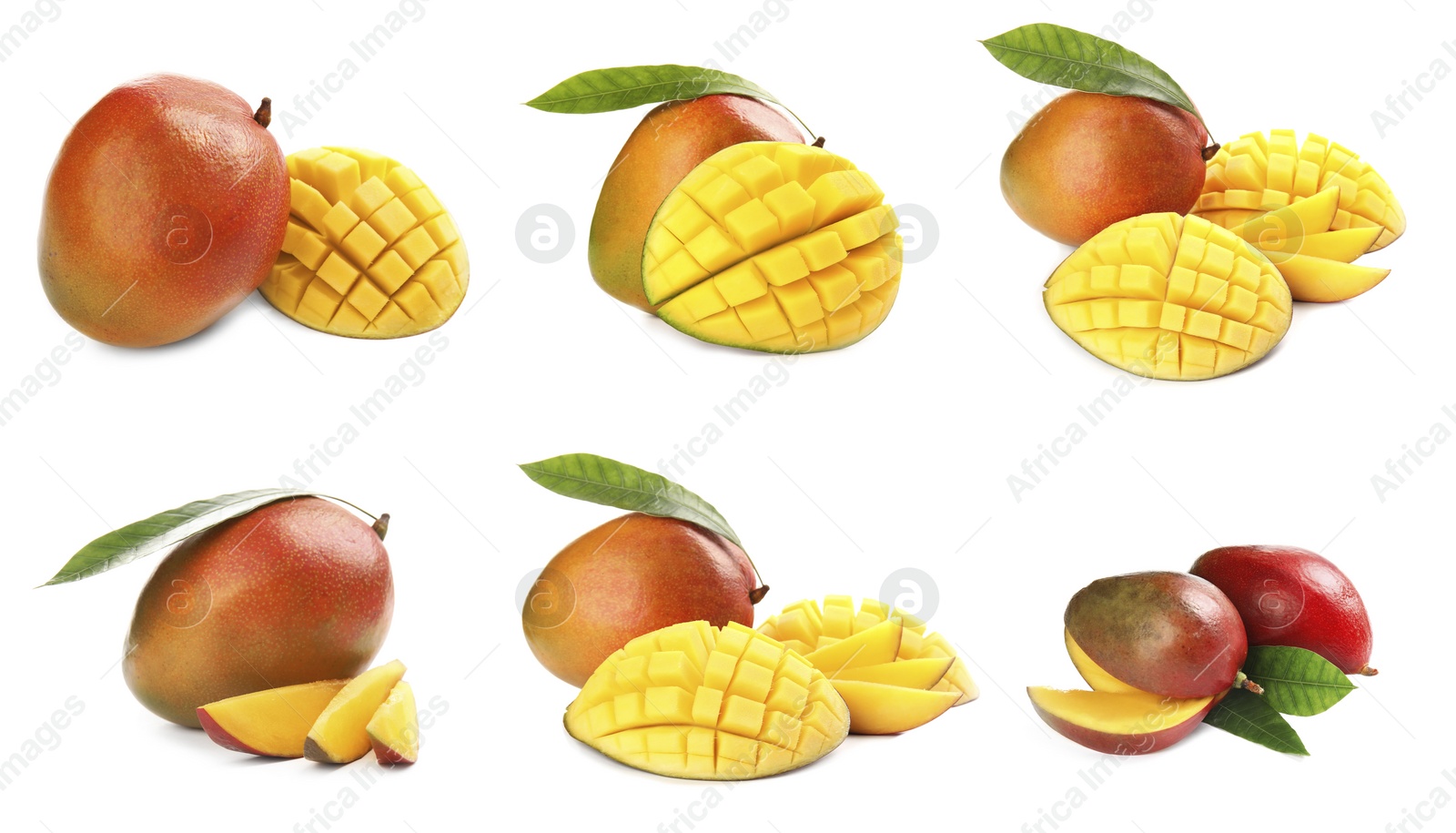 Image of Set of delicious mangoes on white background. Banner design