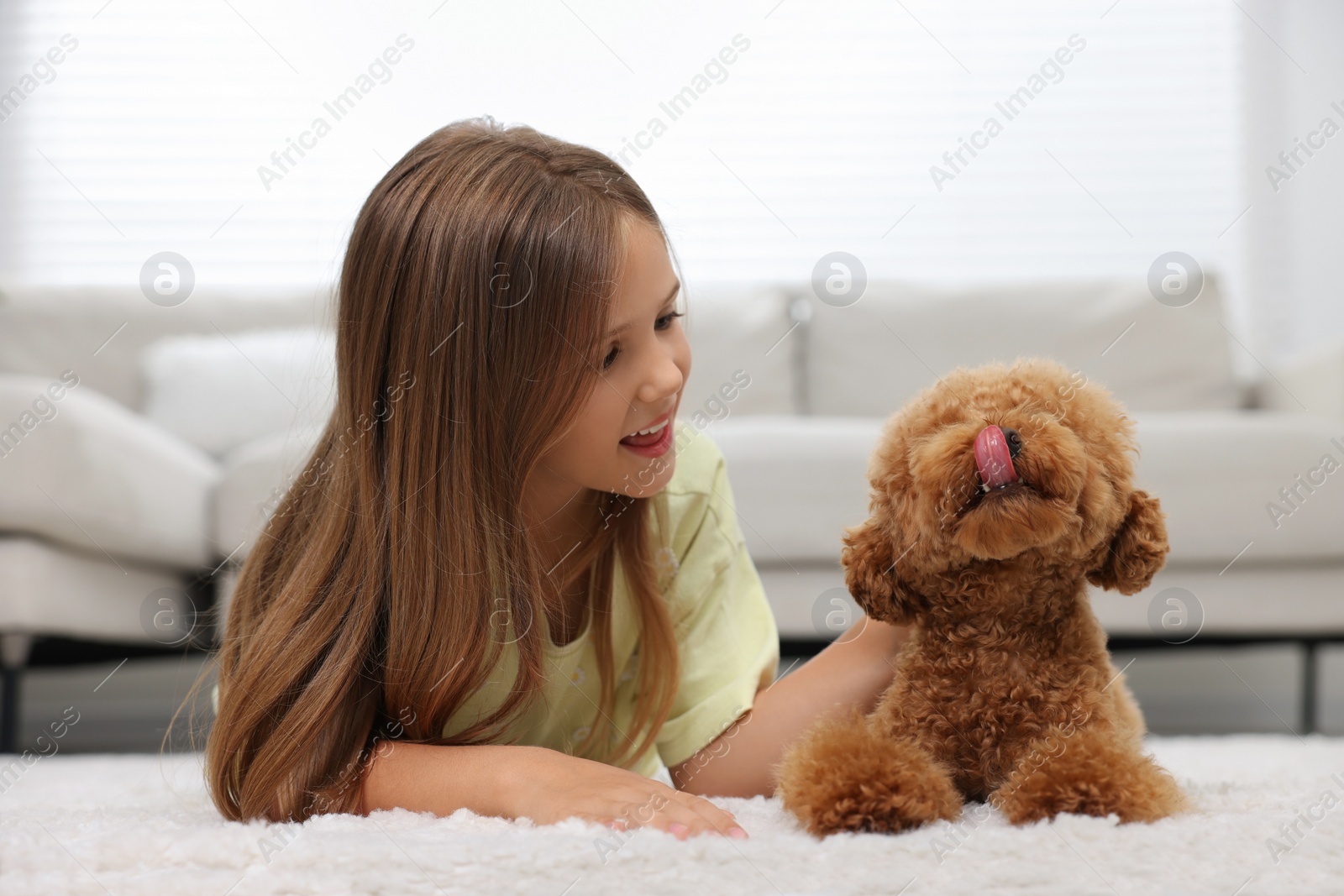 Photo of Little child and cute puppy on carpet at home. Lovely pet