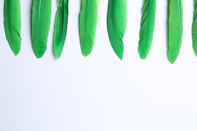 Photo of Green feathers on white background, flat lay. Space for text