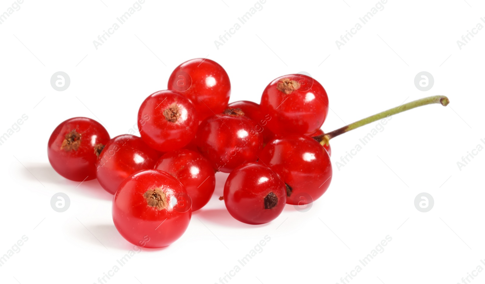 Photo of Many fresh ripe red currants isolated on white