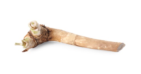 Photo of One fresh horseradish root isolated on white