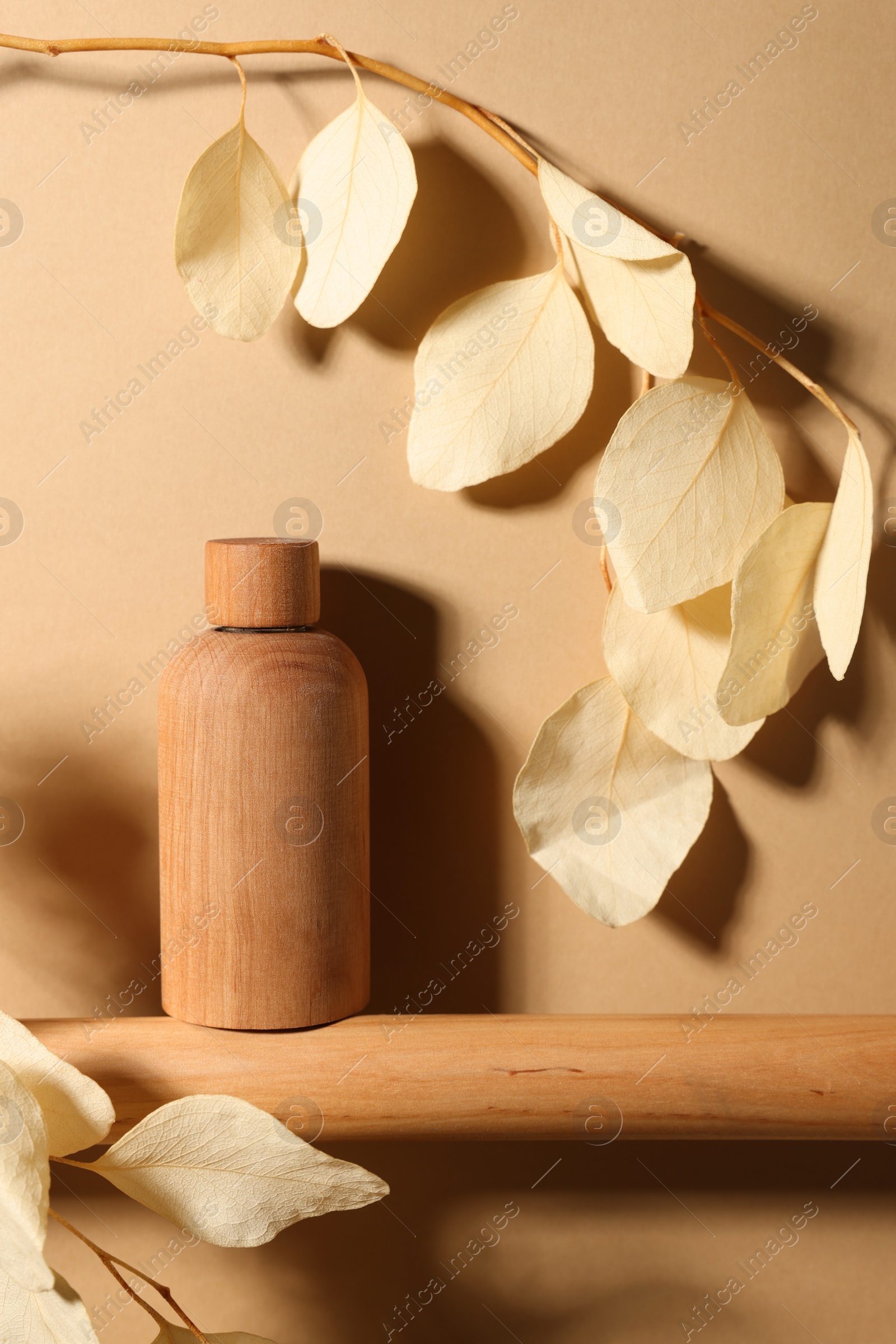 Photo of Wooden bottle of cosmetic product and dried leaves on dark beige background