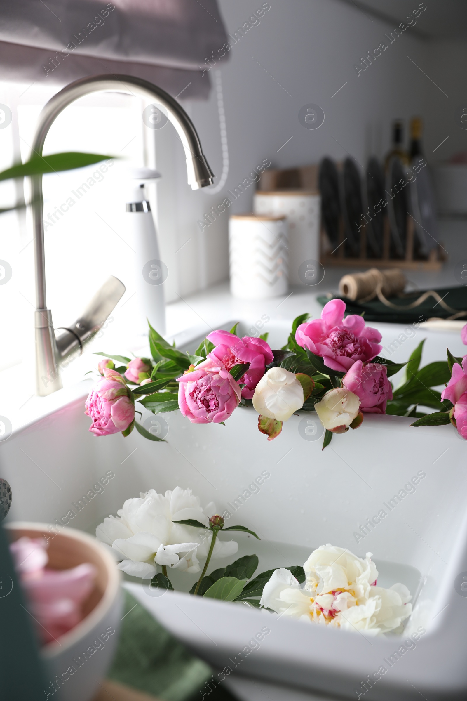 Photo of Bunch of beautiful peonies in kitchen sink