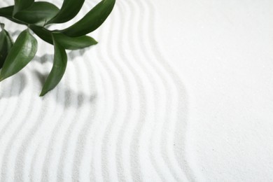 Photo of Zen rock garden. Wave pattern on white sand and green plant, closeup. Space for text