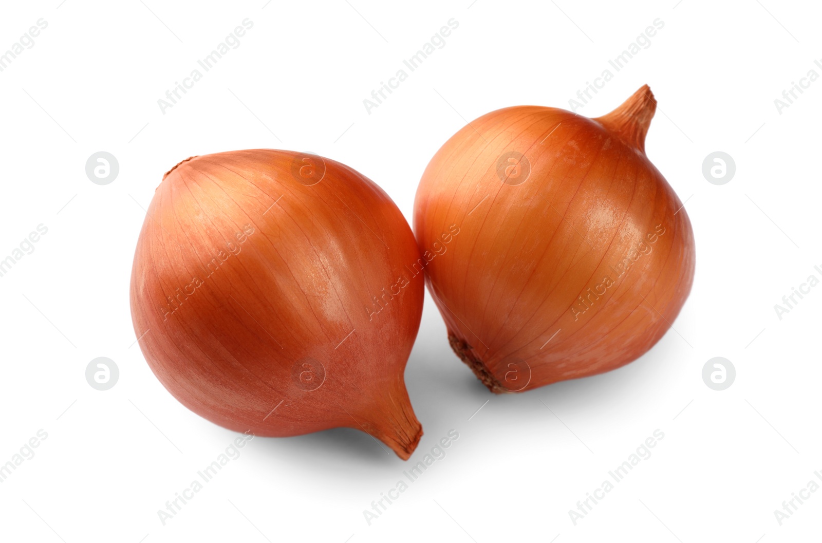 Photo of Two fresh unpeeled onions on white background