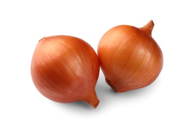 Photo of Two fresh unpeeled onions on white background