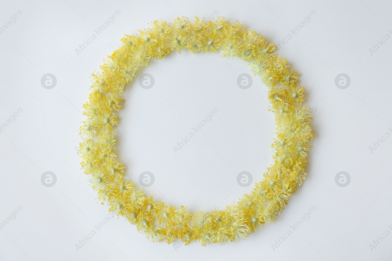 Photo of Frame made of beautiful linden blossoms on white background, flat lay. Space for text