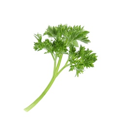 Photo of Fresh green organic parsley on white background