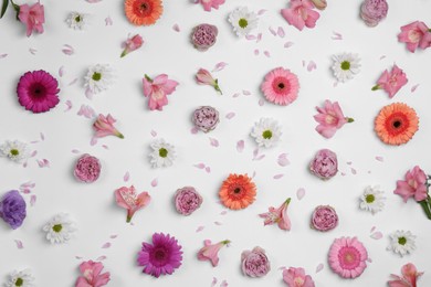 Flat lay composition with different beautiful flowers on white background