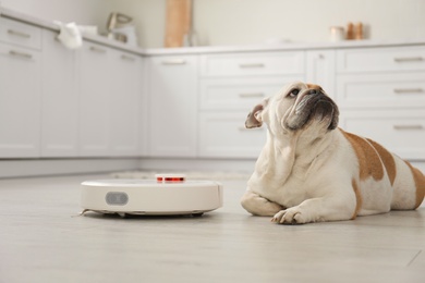 Photo of Robotic vacuum cleaner and adorable dog on floor in kitchen