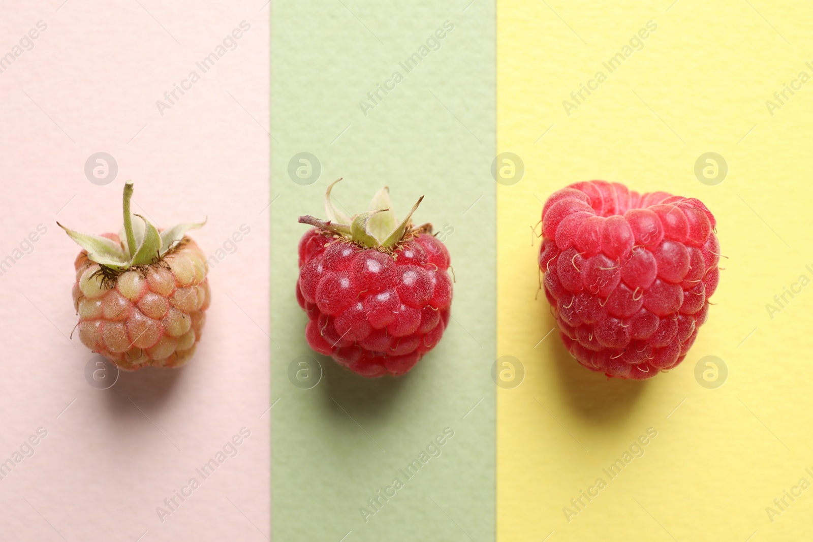 Photo of Fresh raspberries on color background, flat lay