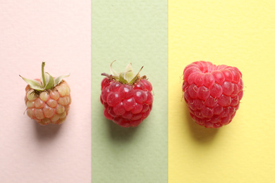 Photo of Fresh raspberries on color background, flat lay