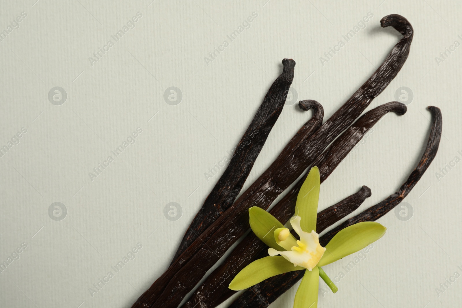 Photo of Vanilla pods and beautiful flower on light grey background, top view. Space for text