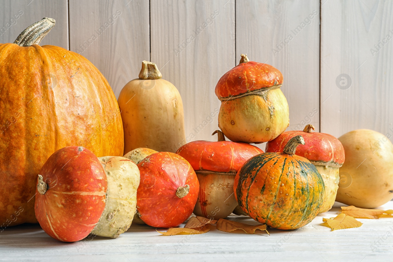 Photo of Different pumpkins on table against wooden wall. Autumn holidays