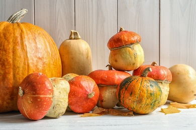 Different pumpkins on table against wooden wall. Autumn holidays