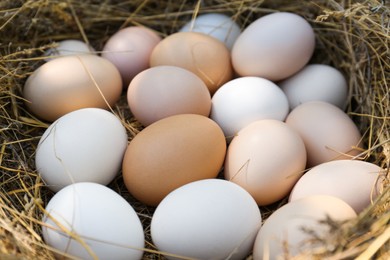 Photo of Fresh raw chicken eggs in nest, closeup