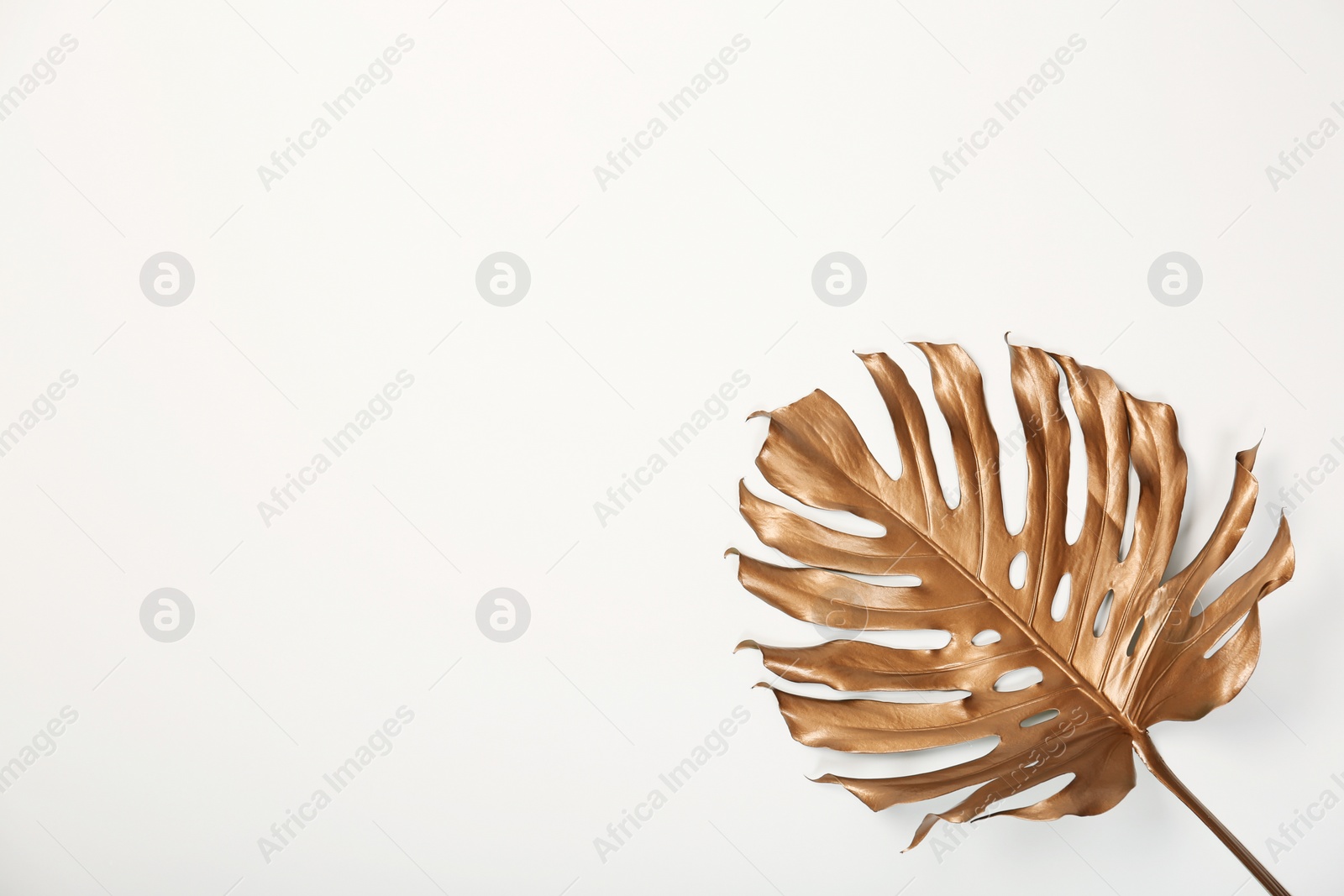 Photo of Painted tropical Monstera leaf and space for text on white background, top view