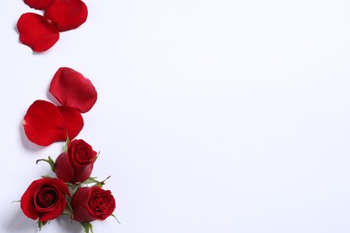 Beautiful red roses and petals on white background, top view. Space for text