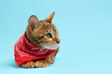 Cute Bengal cat with red bandana on light blue background, space for text