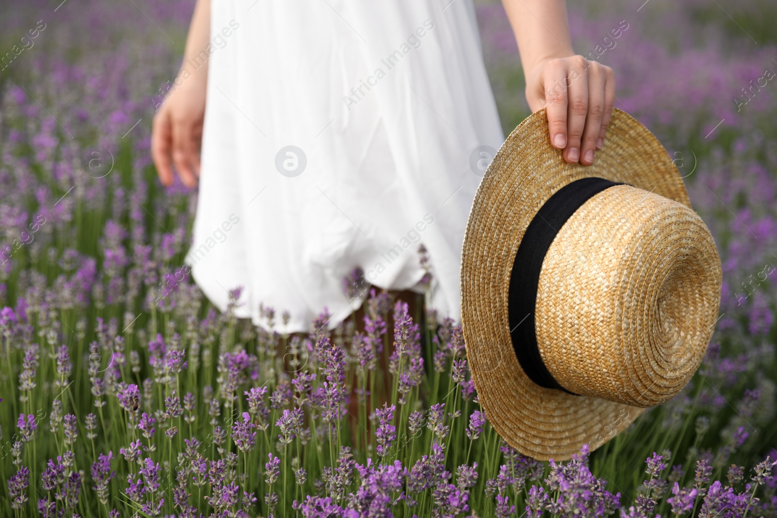 Photo of Young woman with straw hat in lavender field, closeup