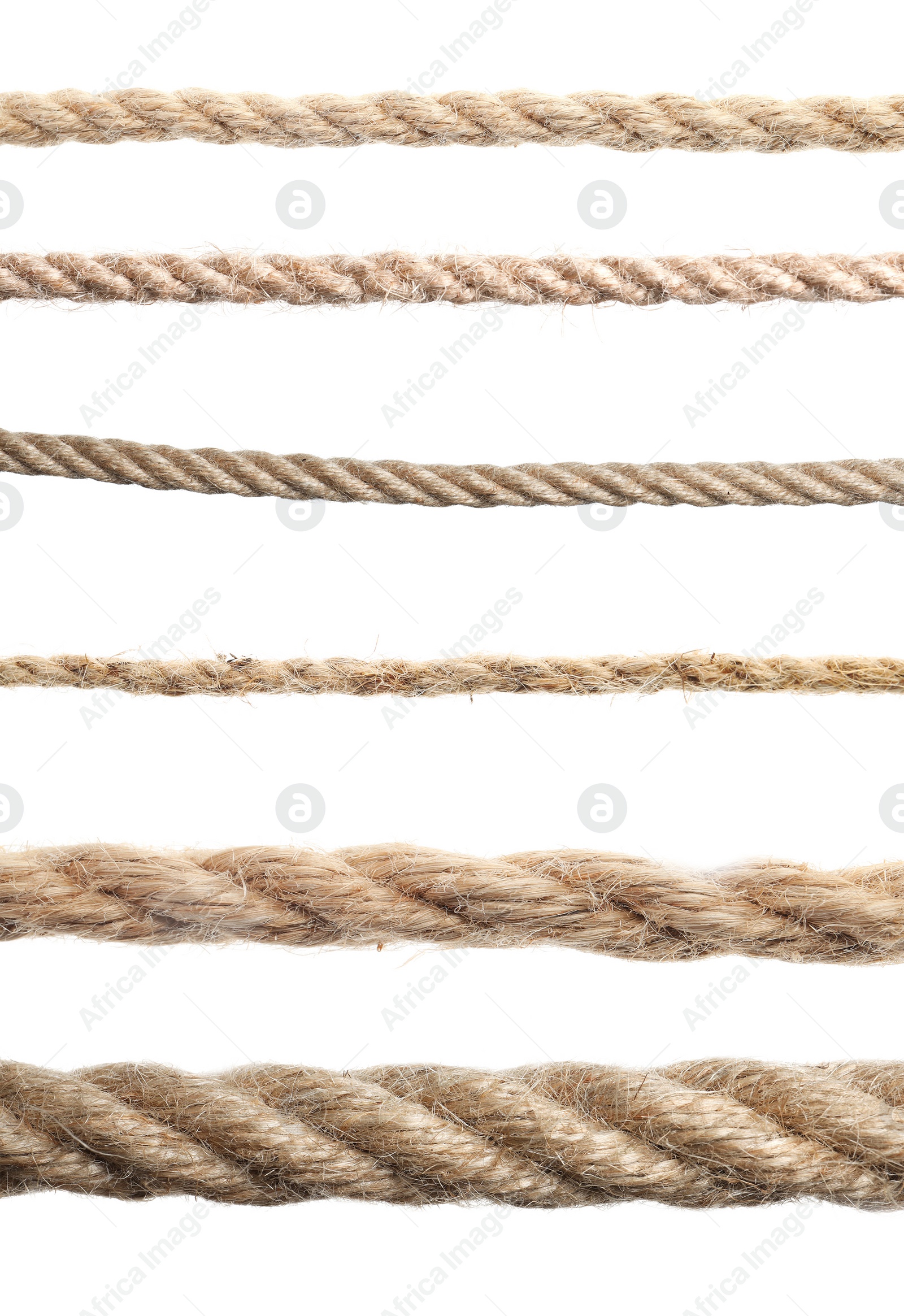 Image of Set of hemp ropes on white background