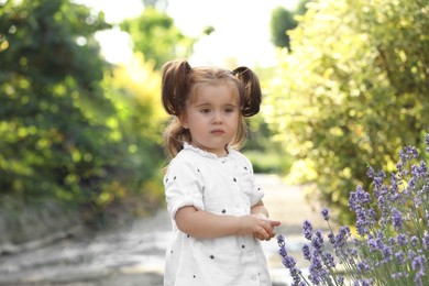 Cute little girl near lavender flowers in park on sunny day