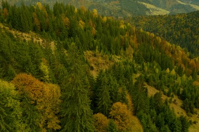 Image of Aerial view of beautiful mountain forest on autumn day