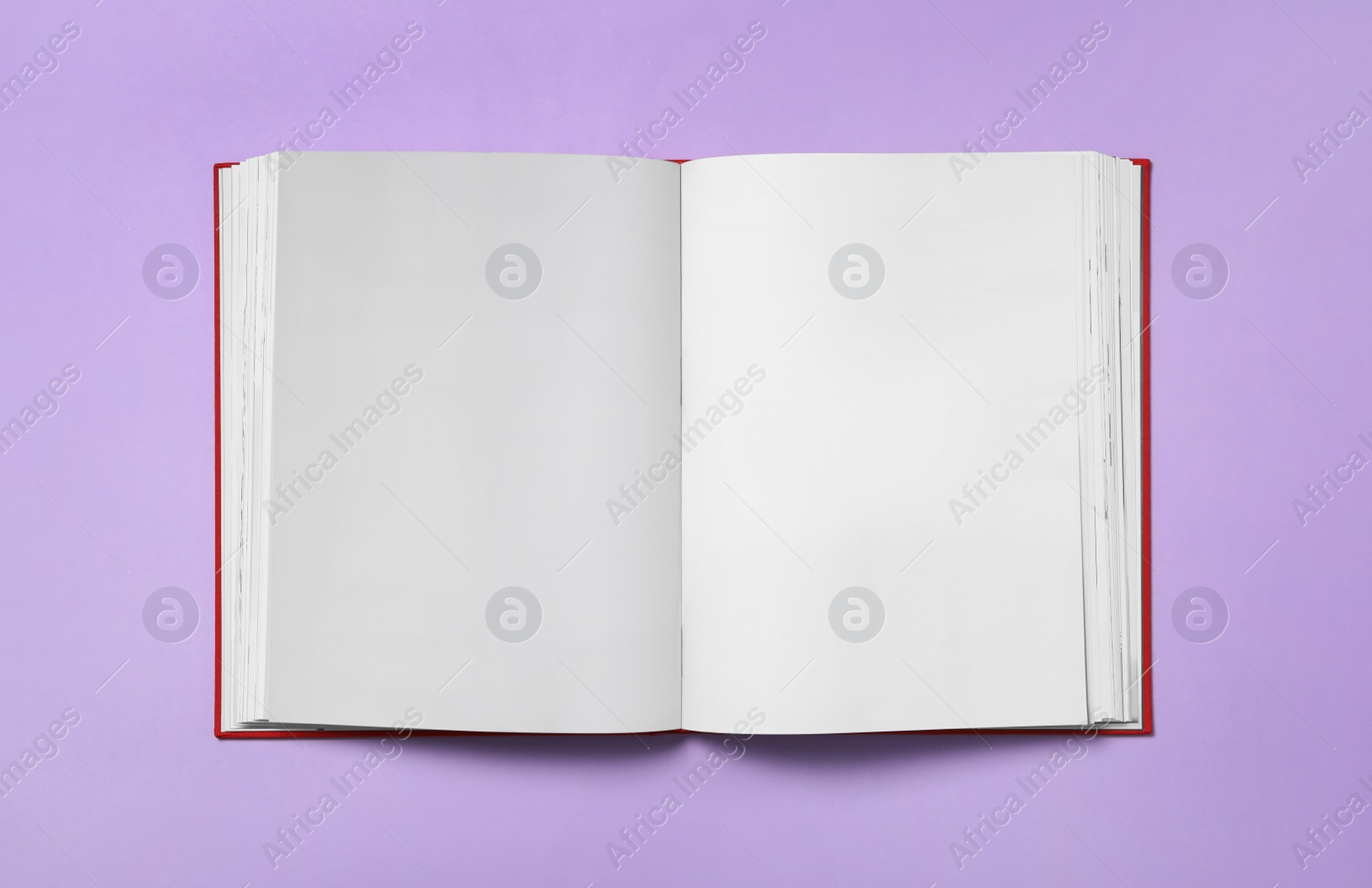 Photo of Open book with blank pages on violet background, top view. Space for text