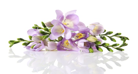 Bouquet of fresh freesia flowers isolated on white