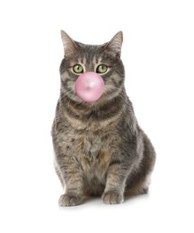 Image of Fluffy grey tabby cat blowing bubble gum on white background