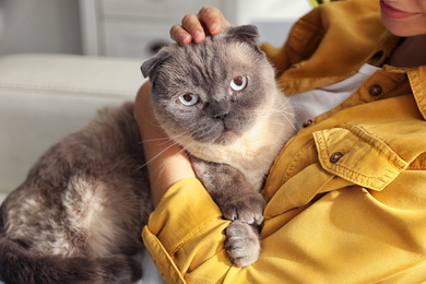 Photo of Young woman with cute cat at home, closeup. Fluffy pet