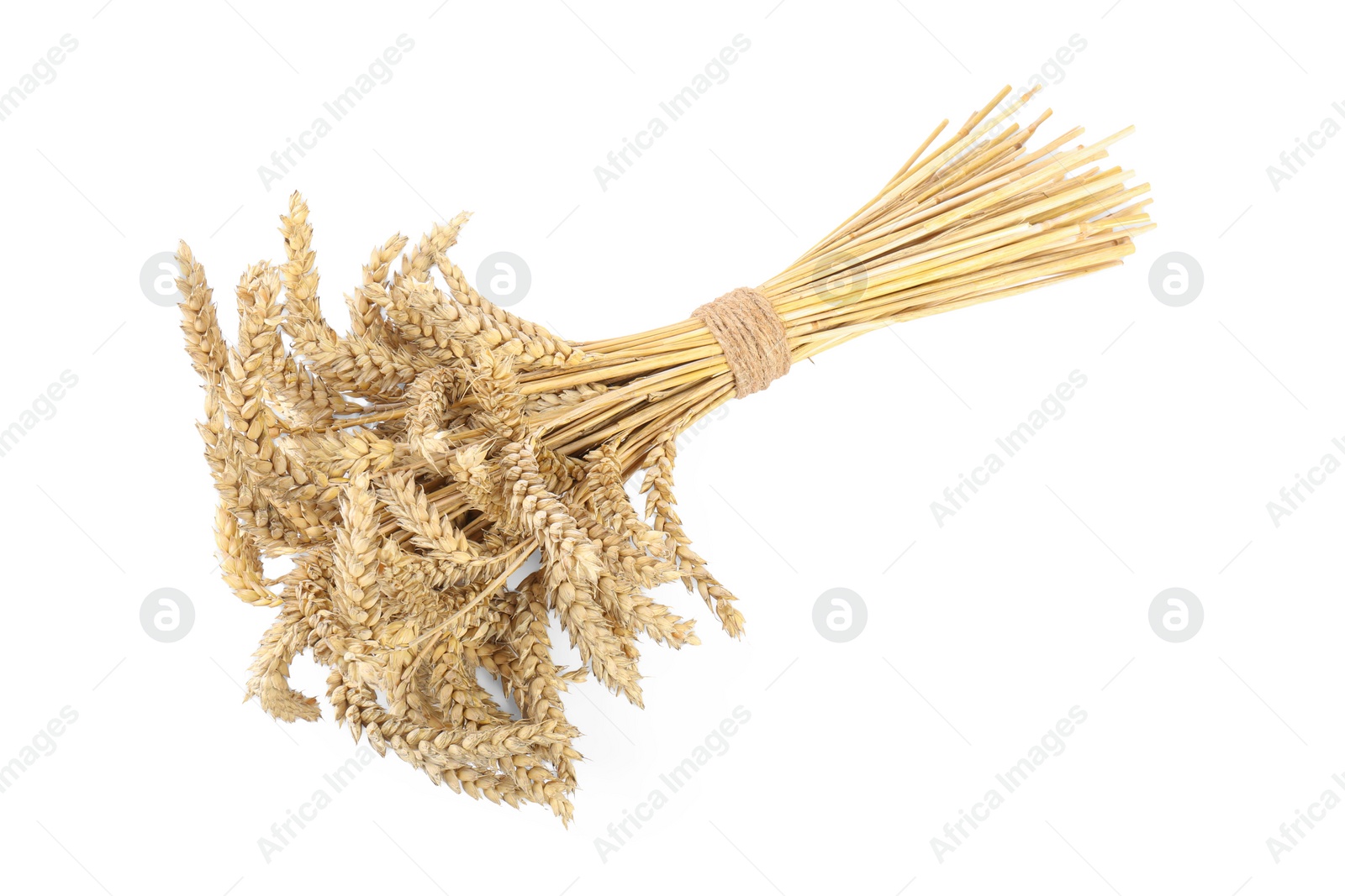 Photo of Bunch of dried wheat isolated on white