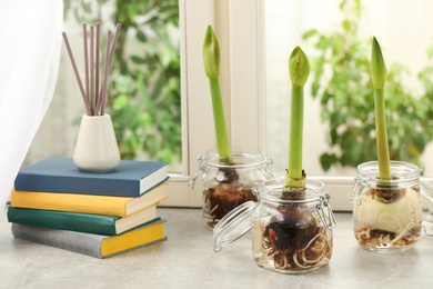 Flowers with bulbs in glassware and books on window sill